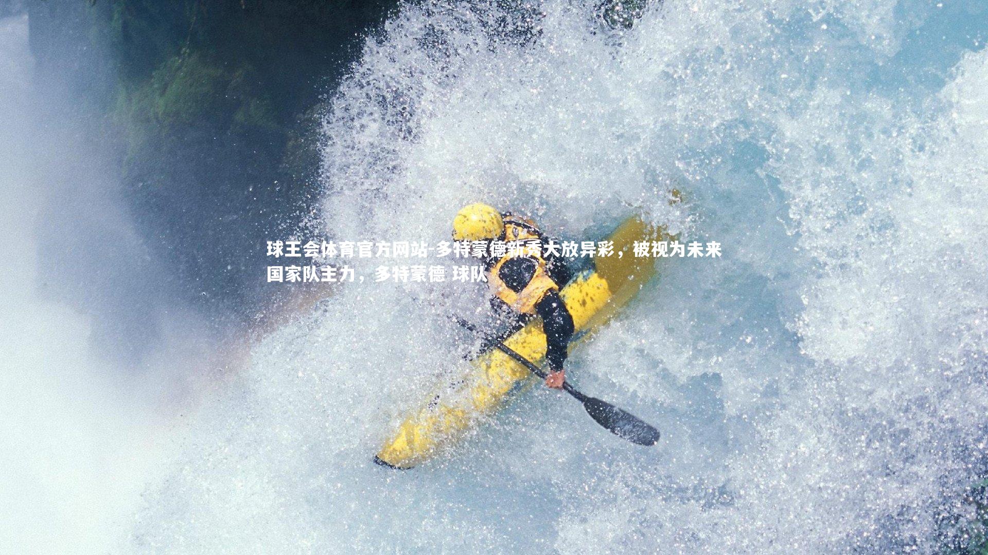 多特蒙德新秀大放异彩,被视为未来国家队主力,多特蒙德 球队