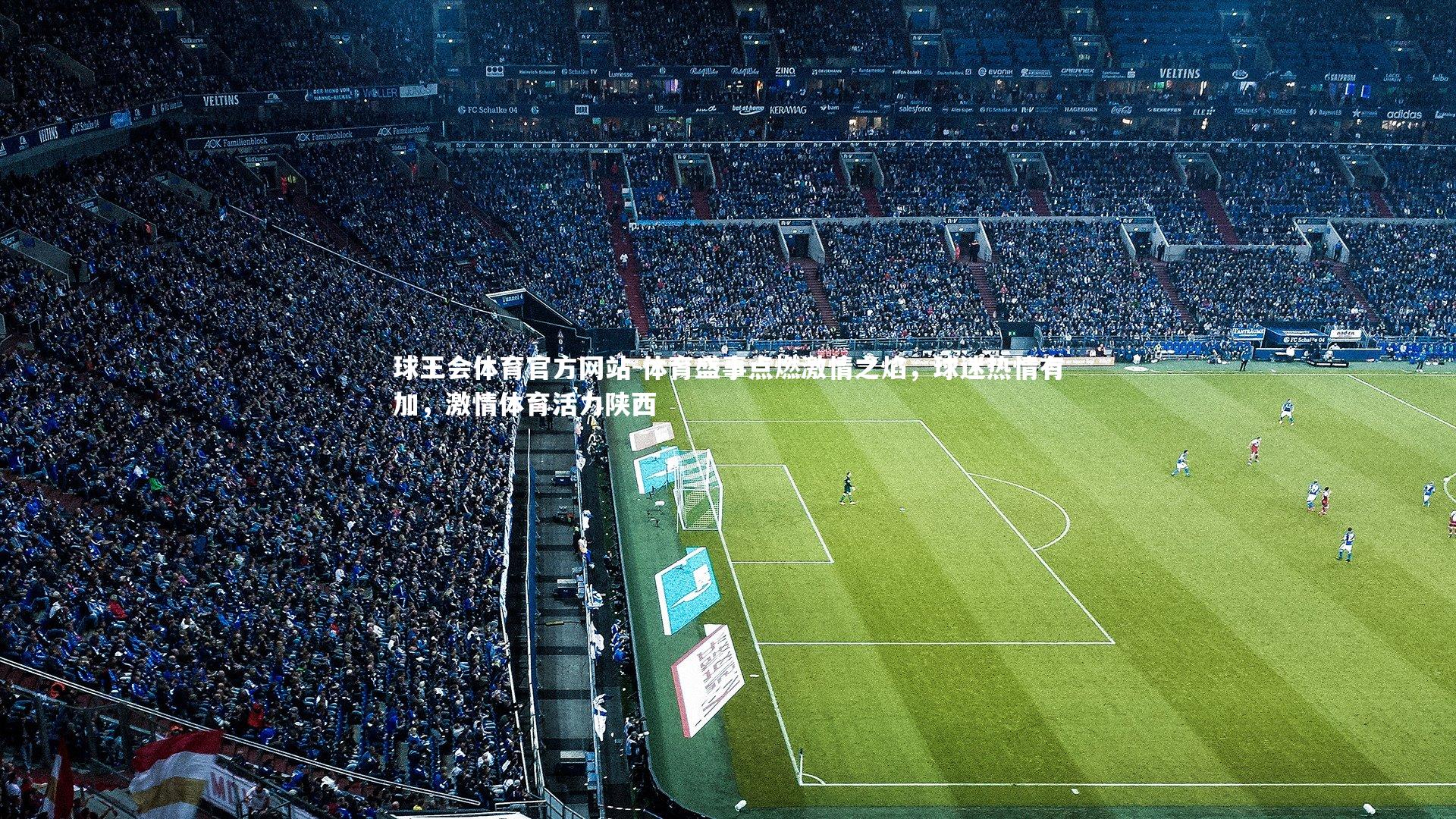 球王会体育官方网站-体育盛事点燃激情之焰，球迷热情有加，激情体育活力陕西