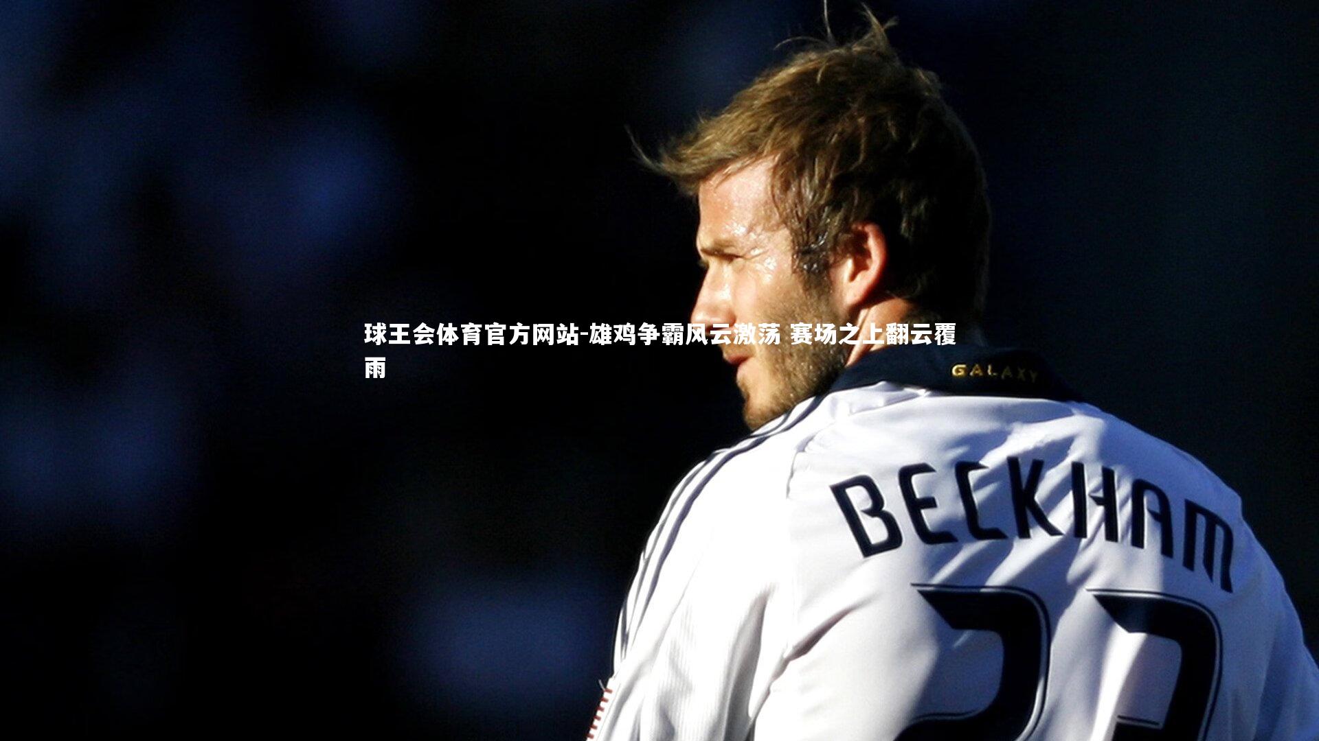 雄鸡争霸风云激荡 赛场之上翻云覆雨