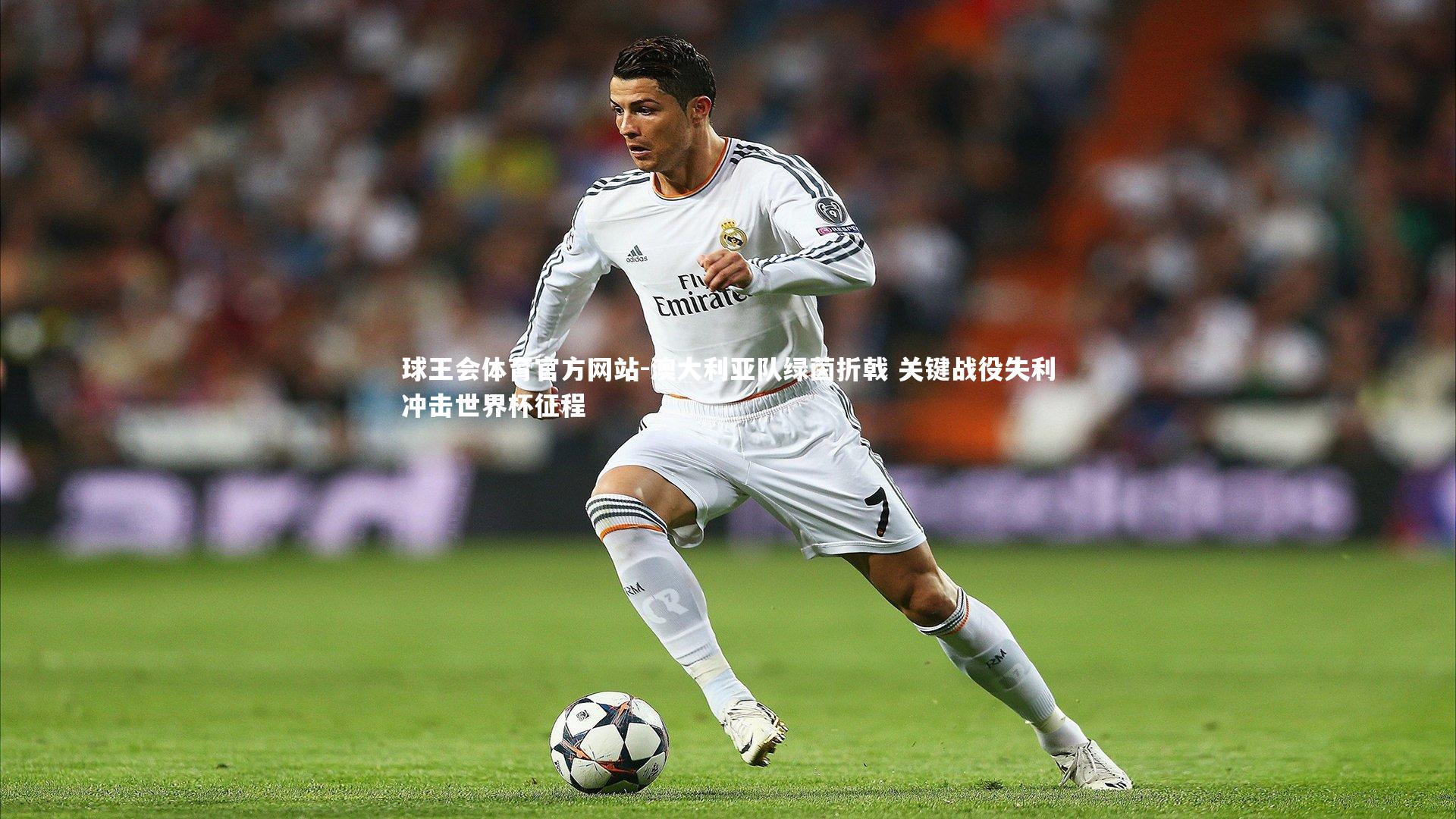 澳大利亚队绿茵折戟 关键战役失利冲击世界杯征程