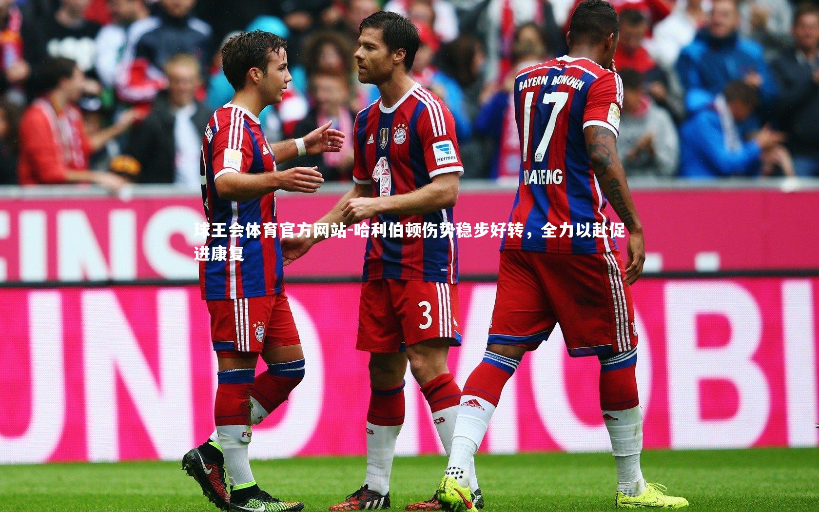 哈利伯顿伤势稳步好转，全力以赴促进康复